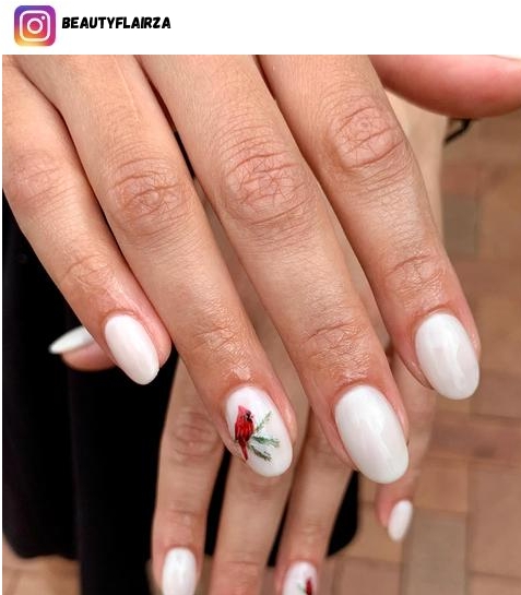 bird nails
