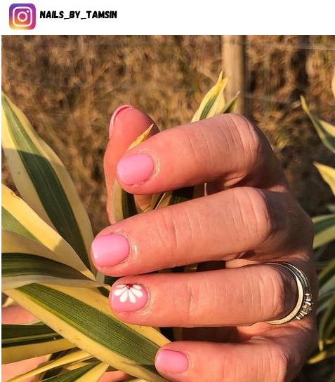 pink daisy nail ideas